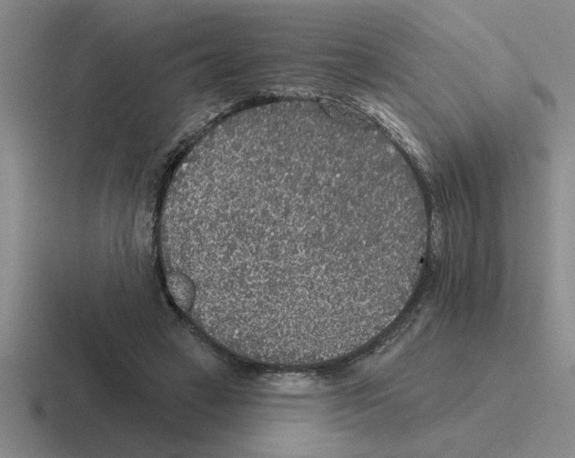 X0000116430449201001051148