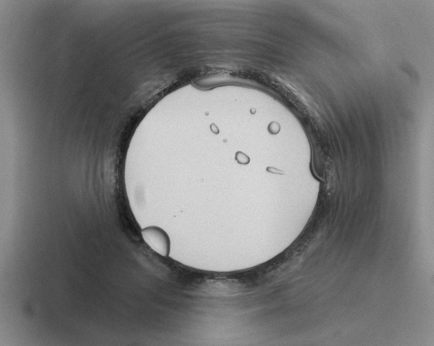 X0000116430455201001051148