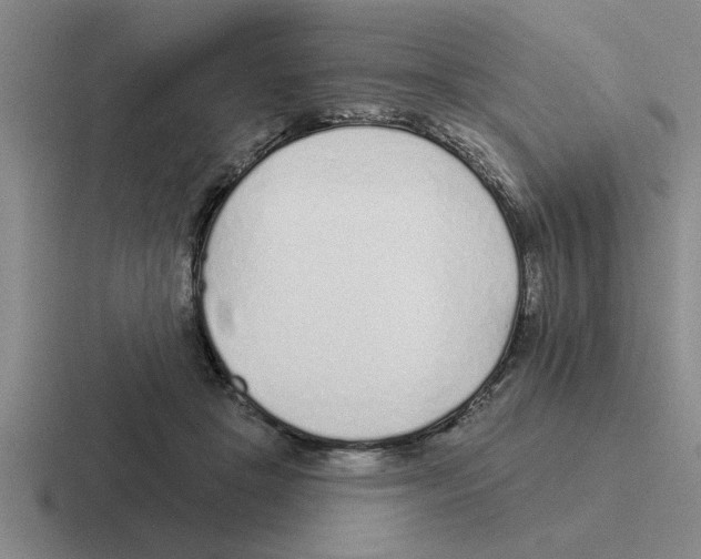 X0000116430457201001051148
