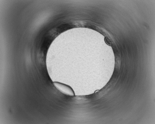 X0000116430477201001051149