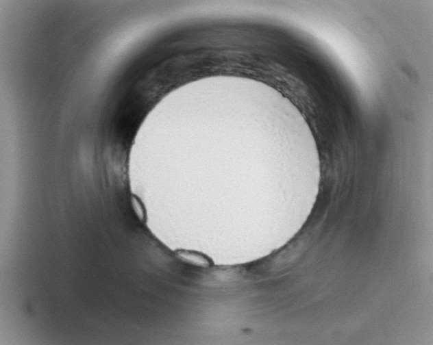 X0000116430479201001051149