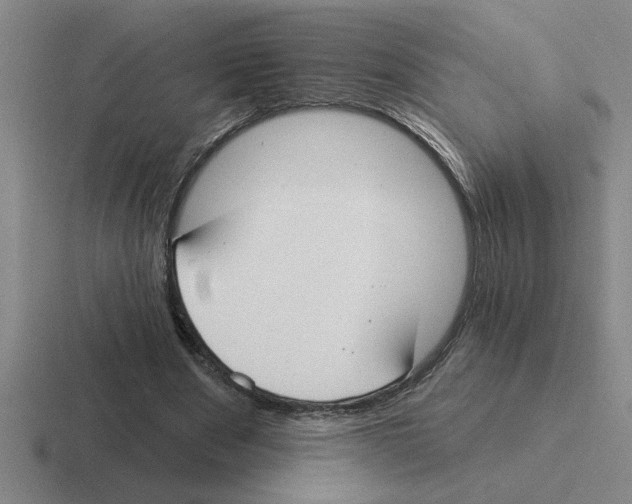 X0000116430489201001051148