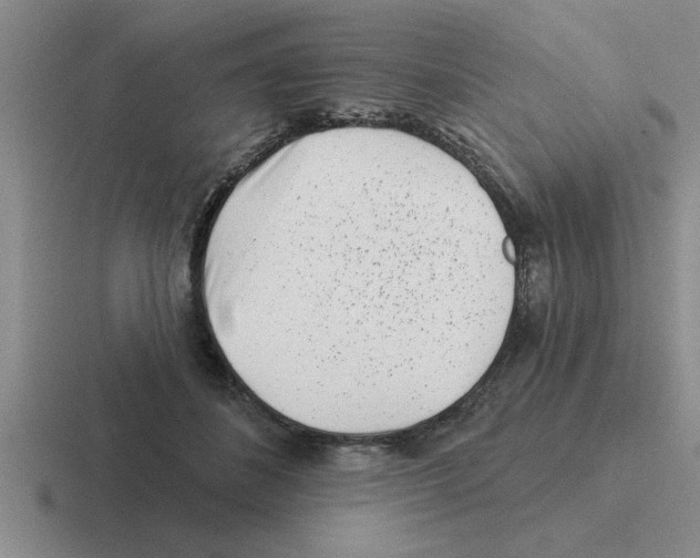 X0000116430508201001051148