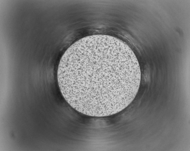 X0000116430520201001051148