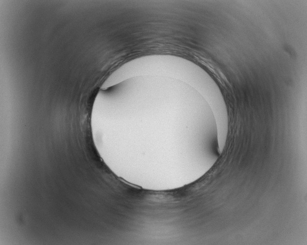 X0000116430521201001051148