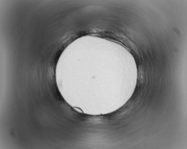 X0000116430523201001051148