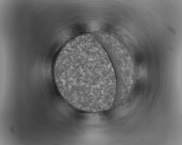 X0000116430524201001051148