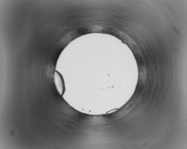 X0000116430525201001051148