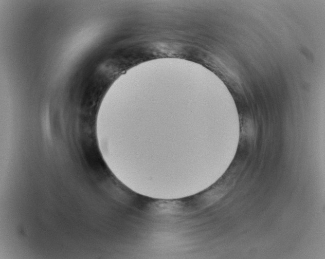X0000116430526201001051148