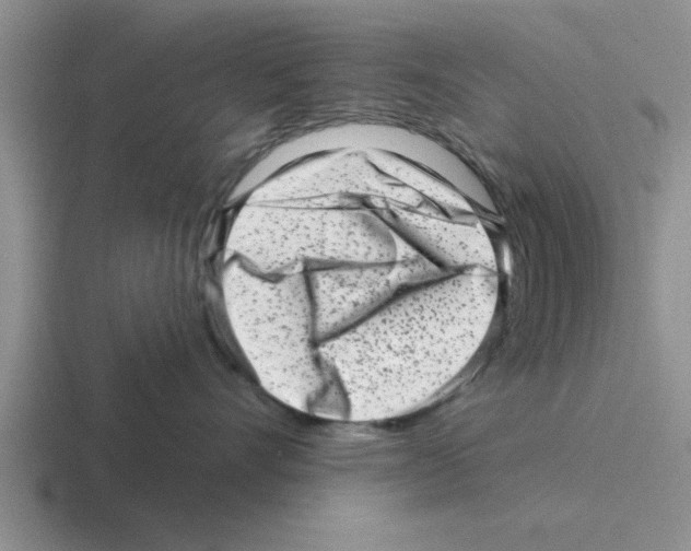 X0000116430528201001051148