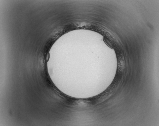 X0000116430558201001051147