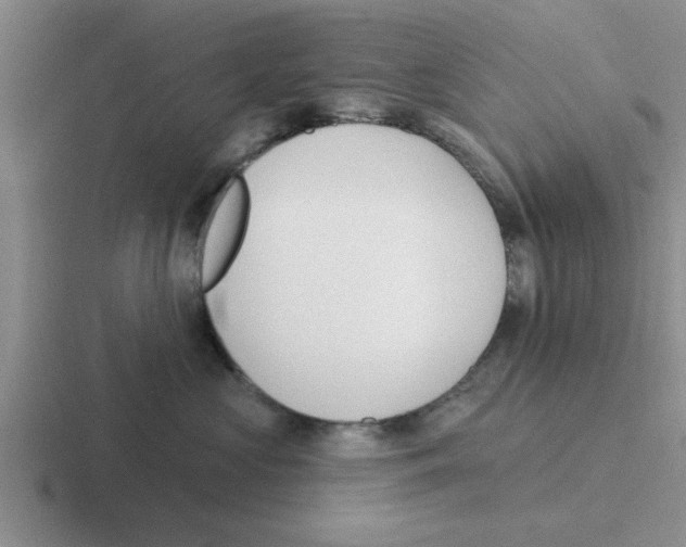 X0000116430573201001051148