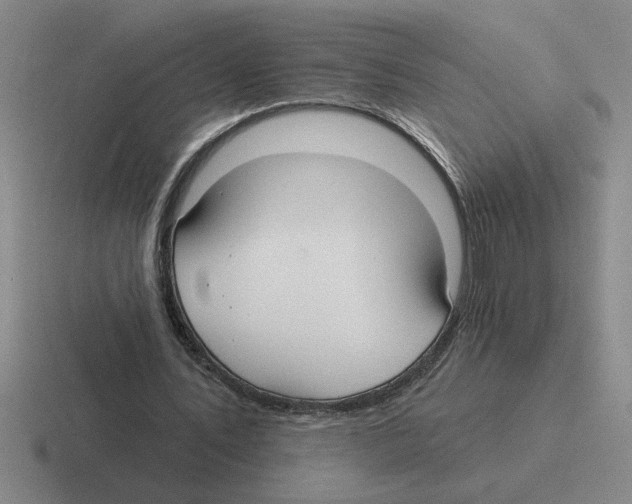 X0000116430579201001051147