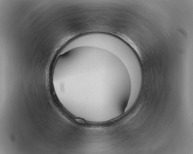 X0000116430581201001051147