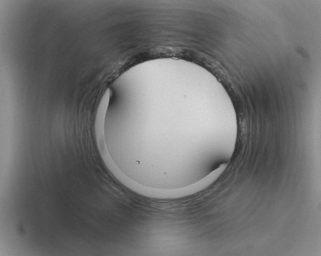 X0000116430617201001051146
