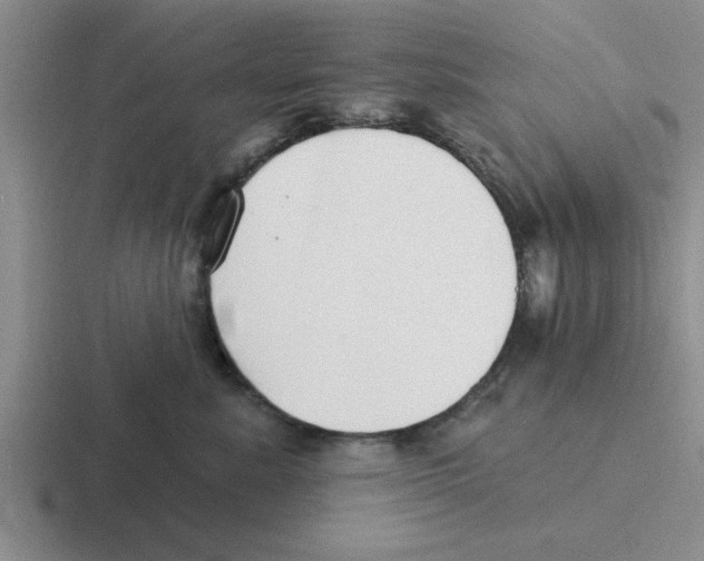 X0000116430619201001051146