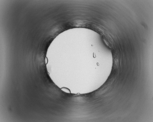 X0000116430620201001051146