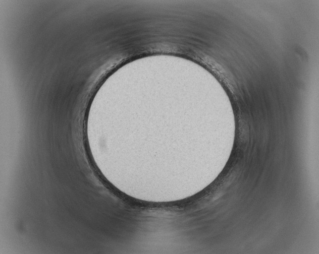X0000116430625201001051146