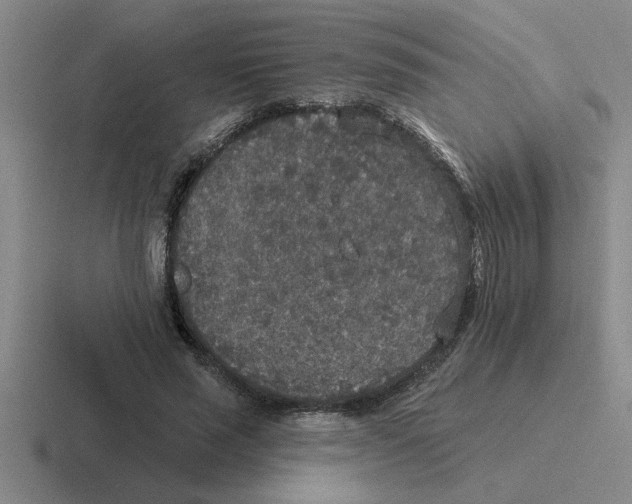 X0000116430637201001051146