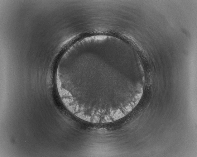X0000116430640201001051146