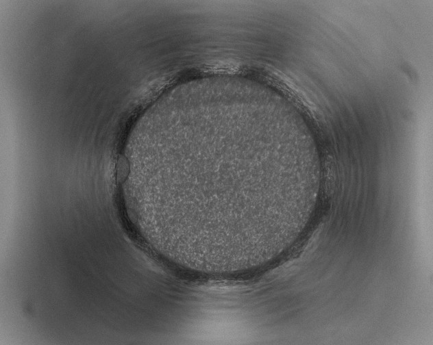 X0000116430641201001051146