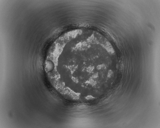X0000116430643201001051146