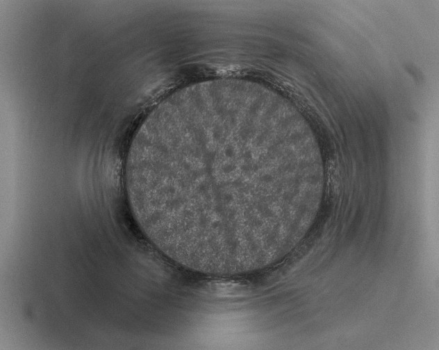 X0000116430650201001051146