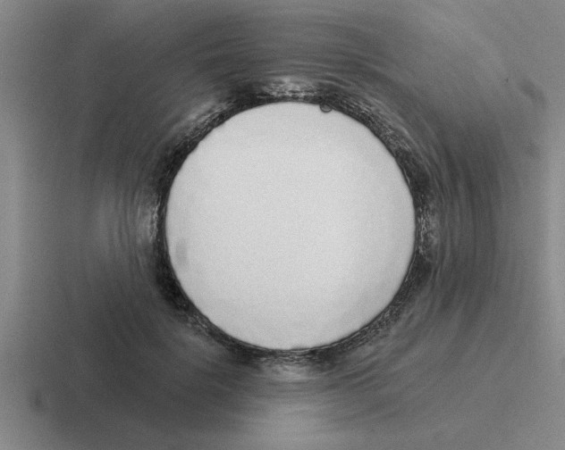 X0000116430652201001051146