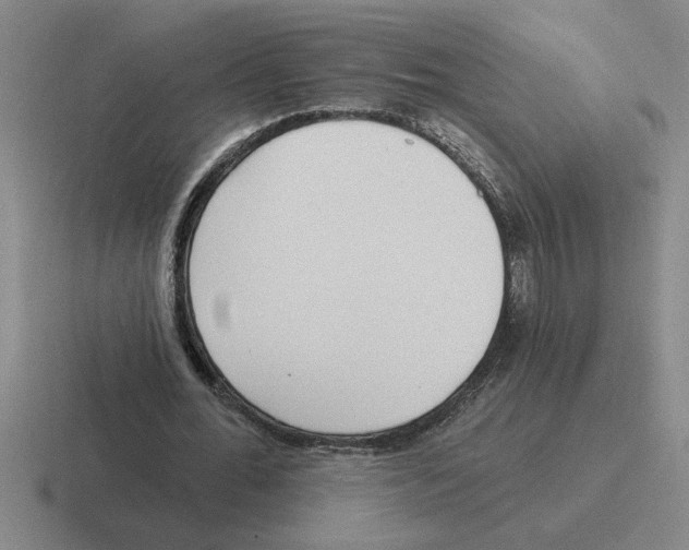 X0000116430676201001051146
