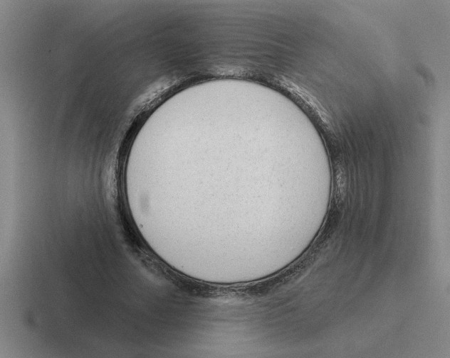 X0000116430682201001051146