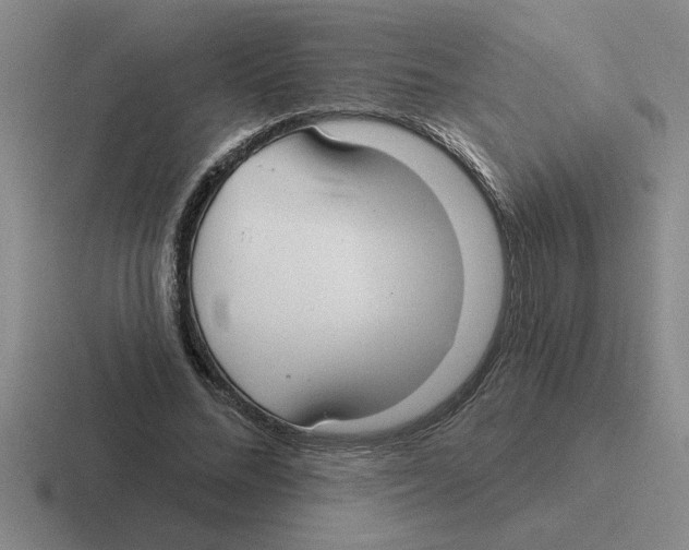 X0000116430684201001051146