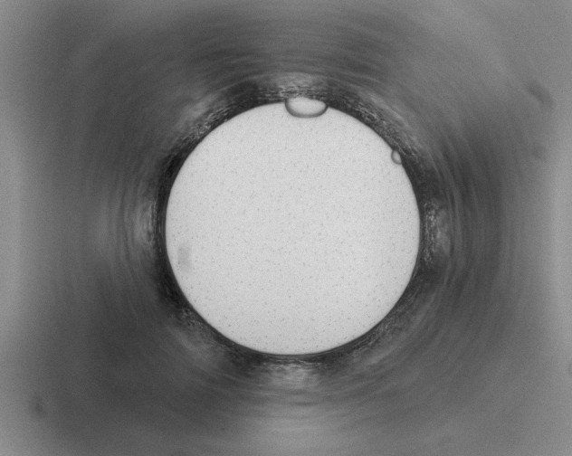 X0000116430698201001051145