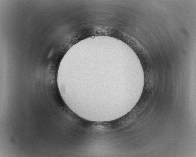 X0000116430706201001051145