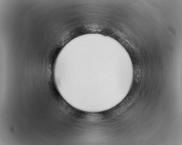 X0000116430707201001051145