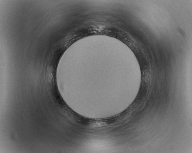 X0000116430754201001051145