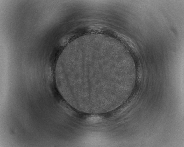 X0000116430759201001051145