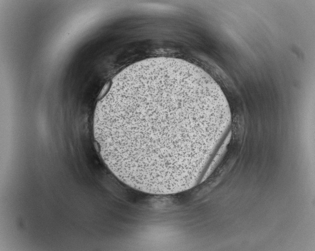 X0000116430762201001051145