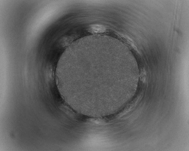 X0000116430763201001051145