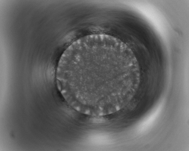 X0000116430767201001051145