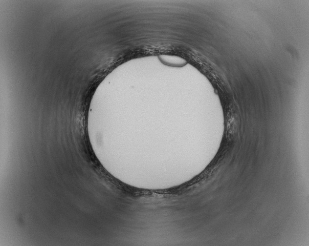 X0000116430772201001051145