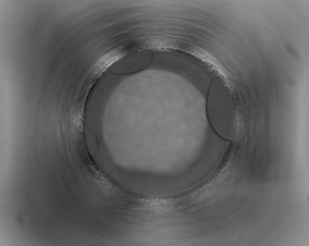 X0000116430785201001051144