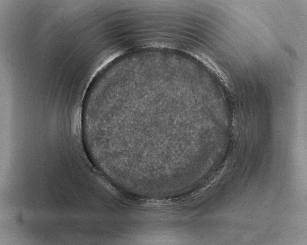 X0000116430790201001051144
