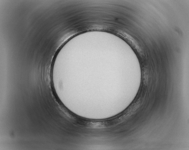 X0000116430794201001051144
