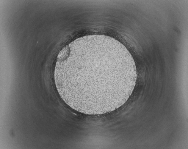 X0000116430817201001051143