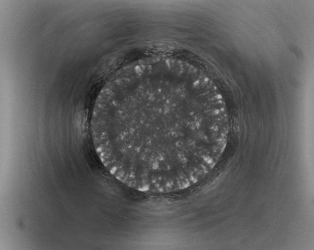 X0000116430818201001051143