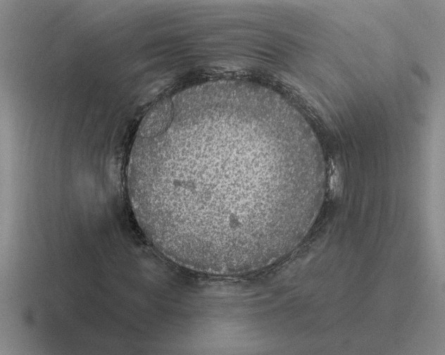 X0000116430819201001051143