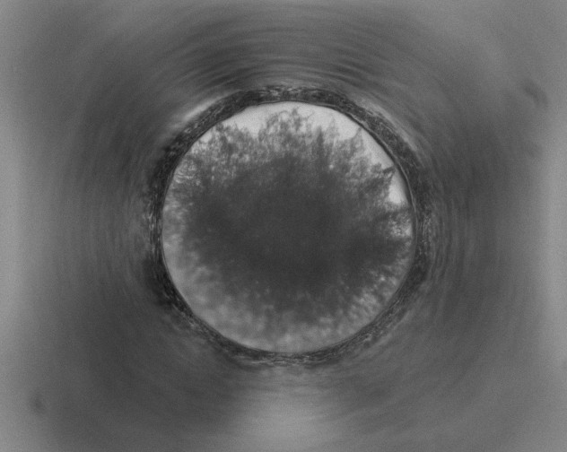 X0000116430822201001051143
