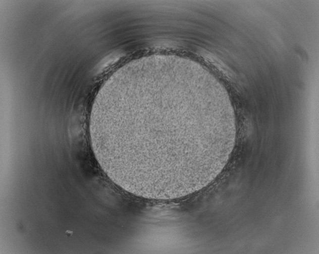 X0000116430824201001051143
