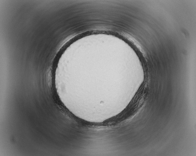 X0000116430829201001051144