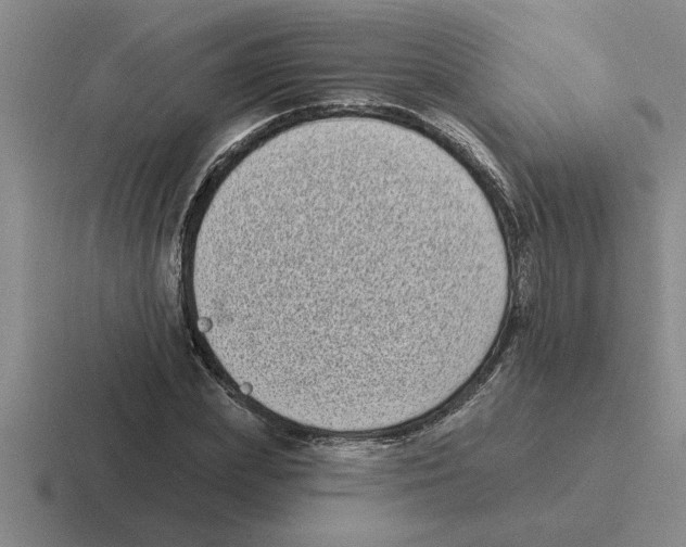 X0000116430831201001051144